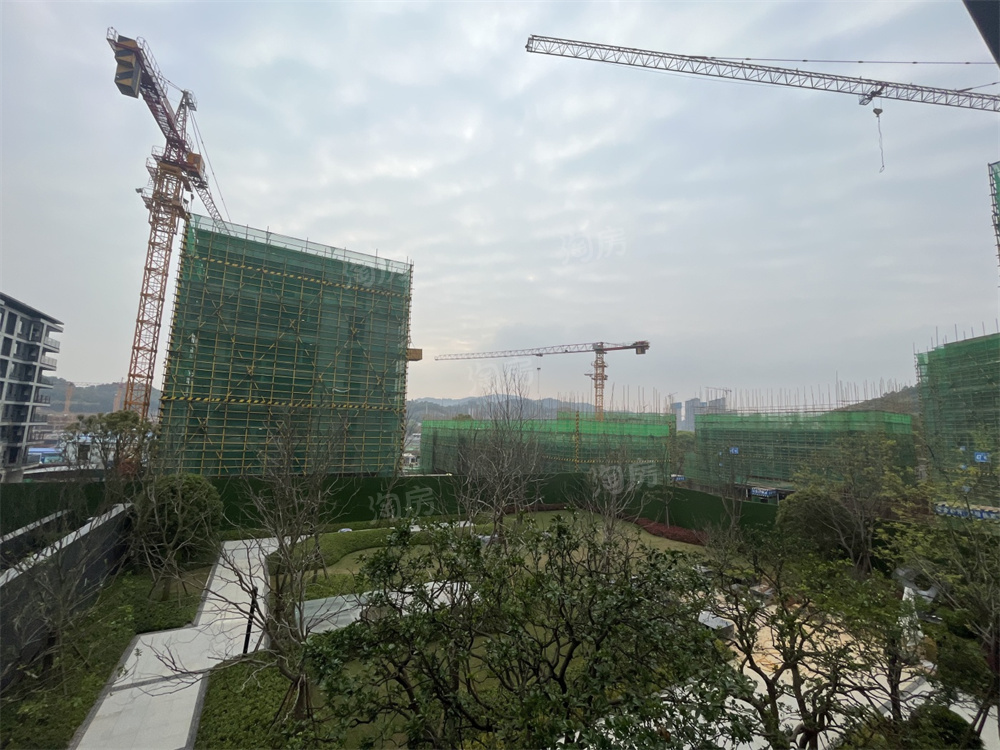 万科森林公园实景图