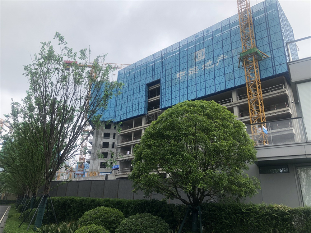 中海阅湘台实景图