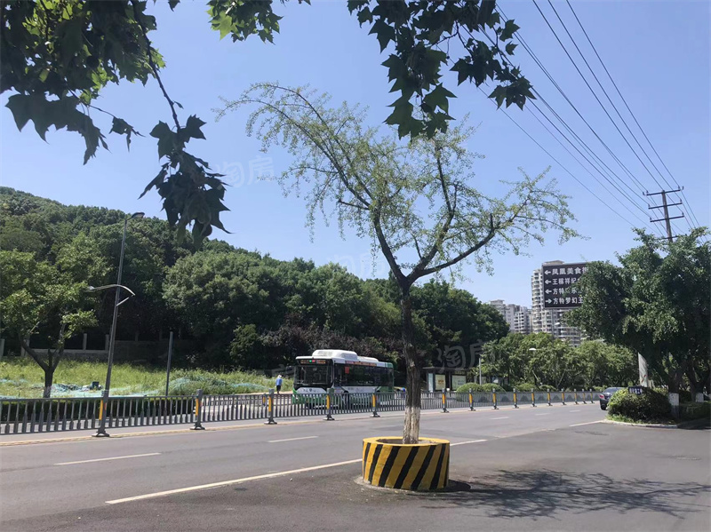 安展莲台实景图