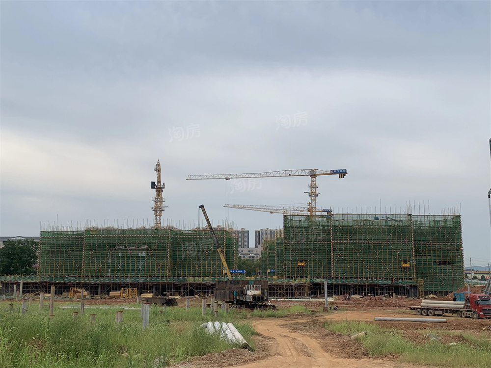 上置绿洲雅宾利实景图