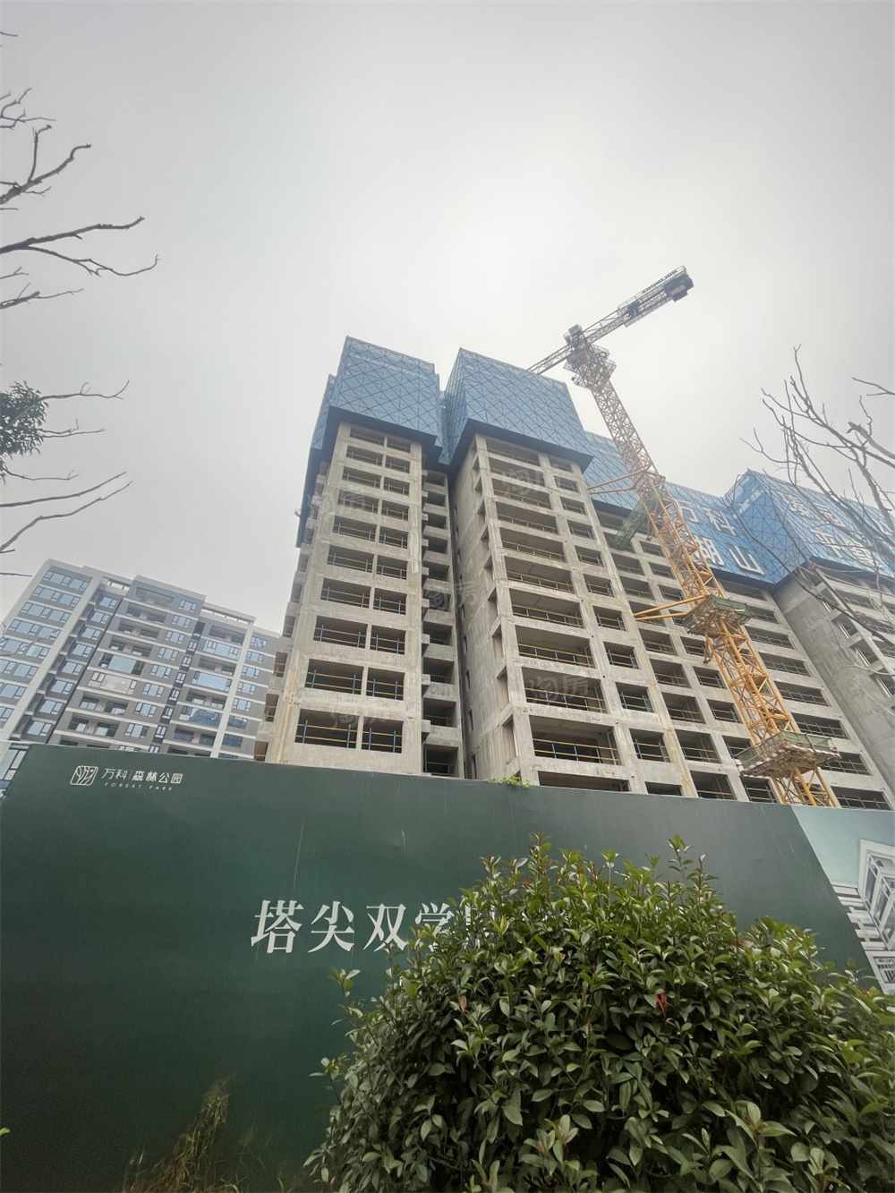 万科森林公园实景图