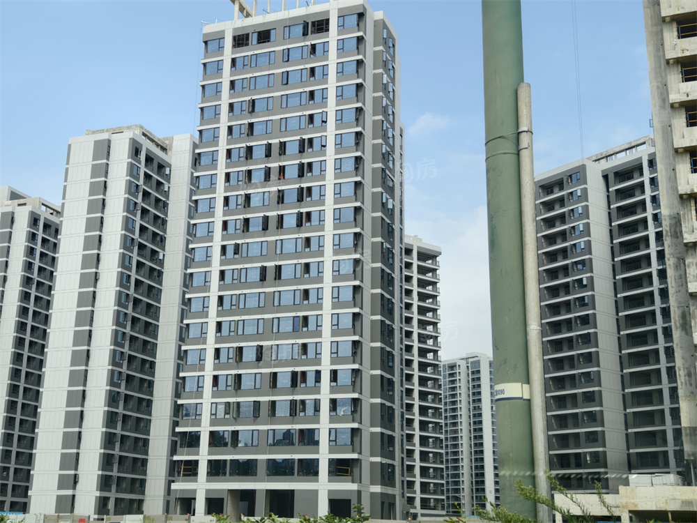 万科森林公园实景图