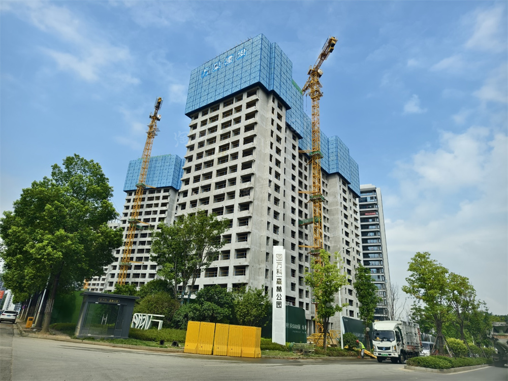 万科森林公园实景图