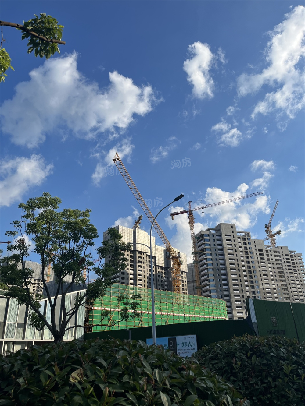 万科森林公园实景图