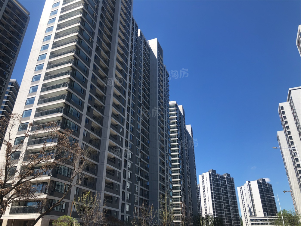 万科森林公园实景图