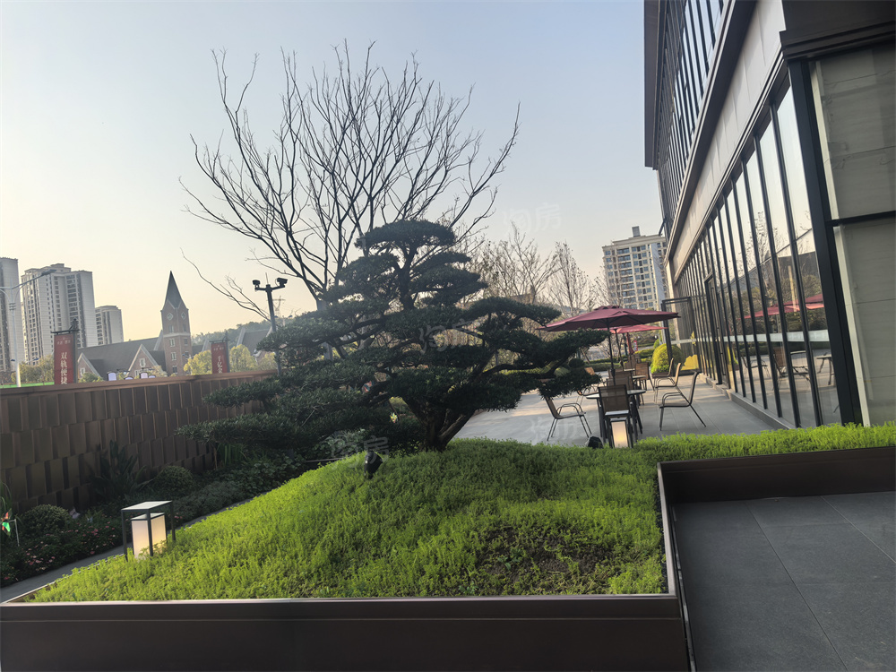 卓越朗宋实景图