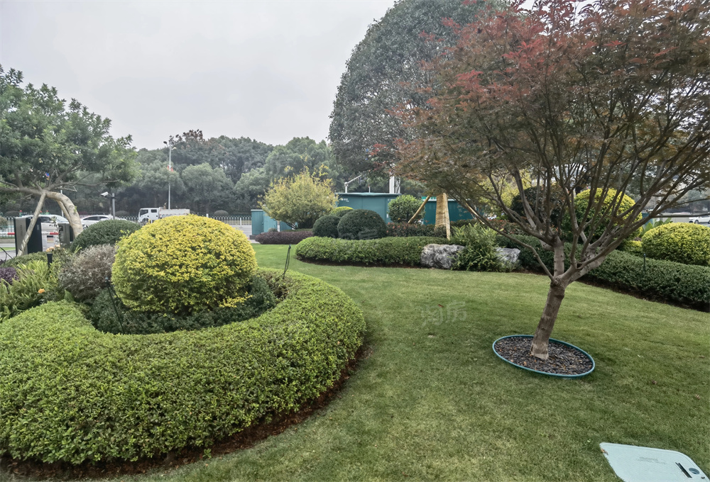 天城上和珺实景图