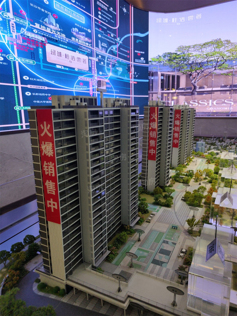 绿城桂语云著实景图
