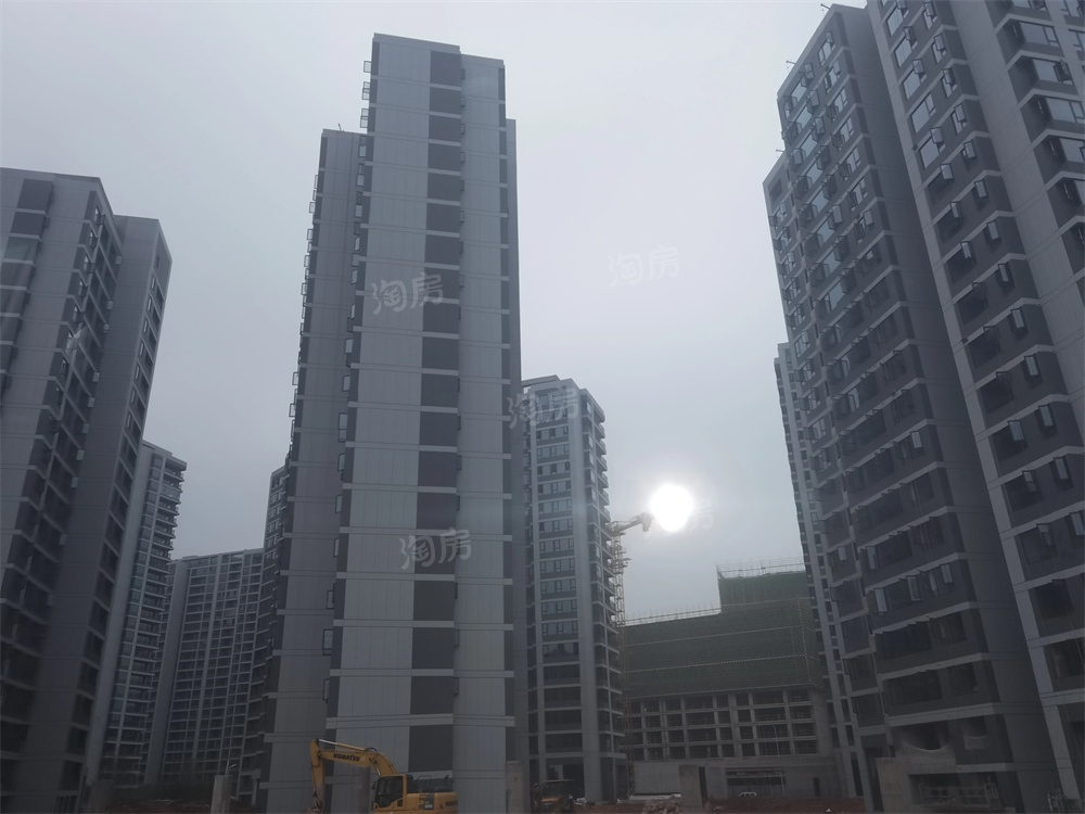 万科森林公园实景图