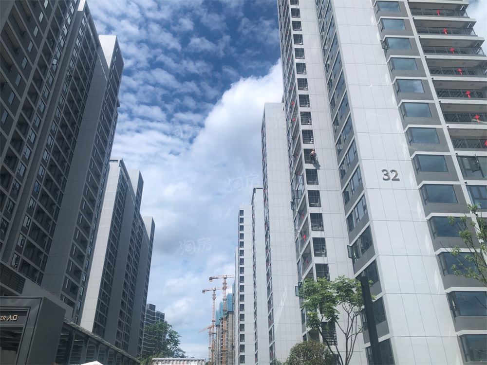 万科森林公园实景图