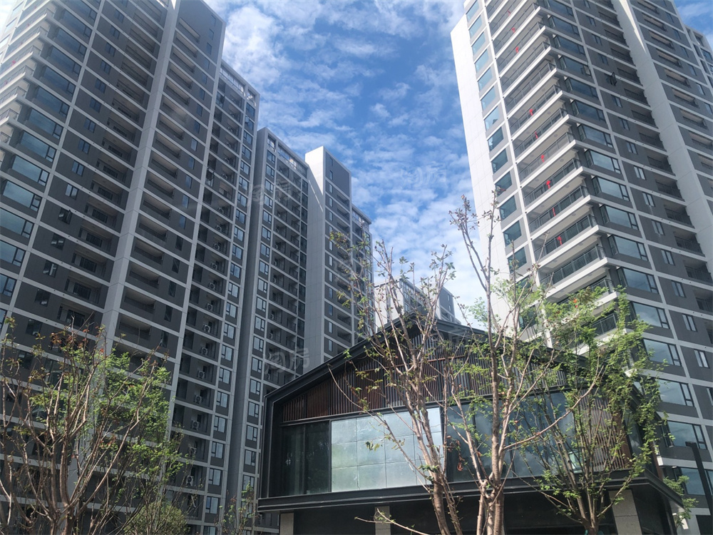 万科森林公园实景图