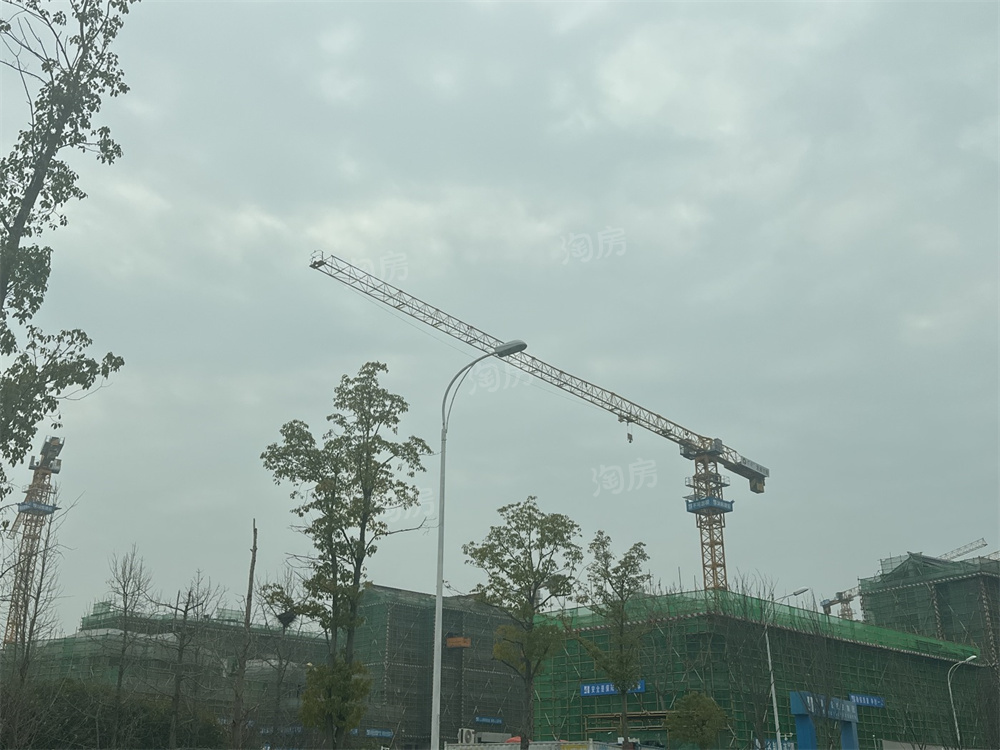 保利天瑞实景图