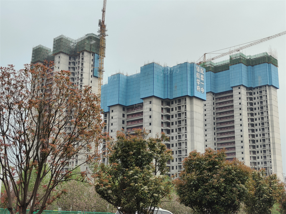 实景图