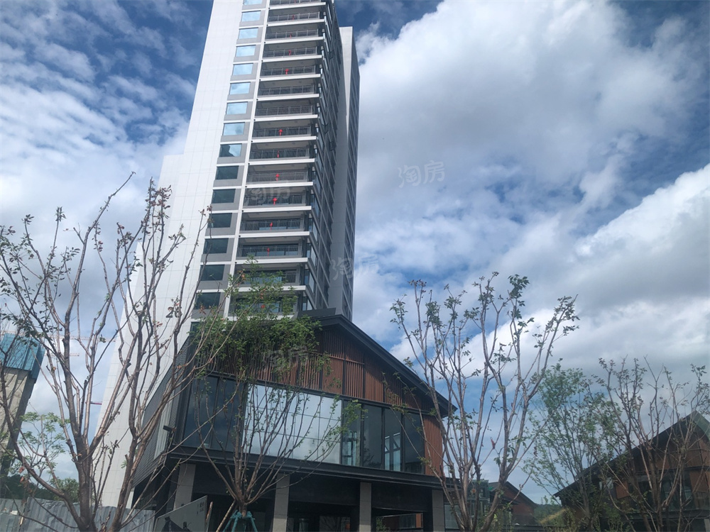 万科森林公园实景图