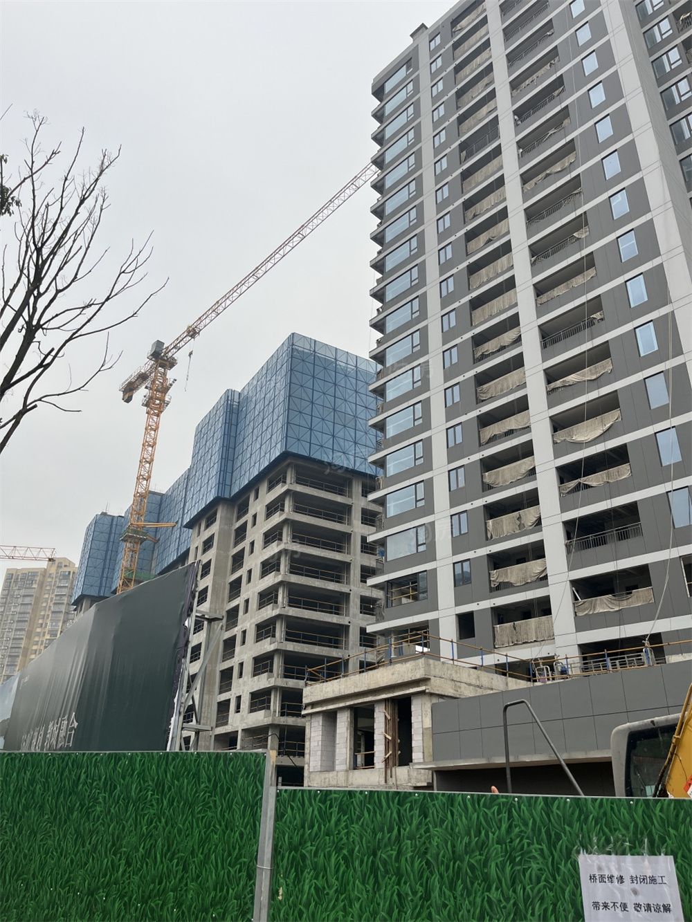 万科森林公园实景图