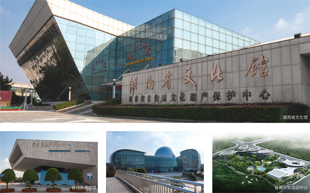 天城上和珺配套图