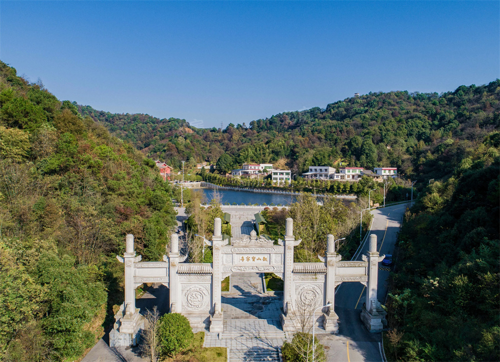 万科森林公园配套图
