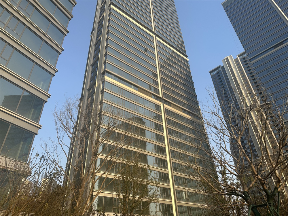 中海阅湘台实景图