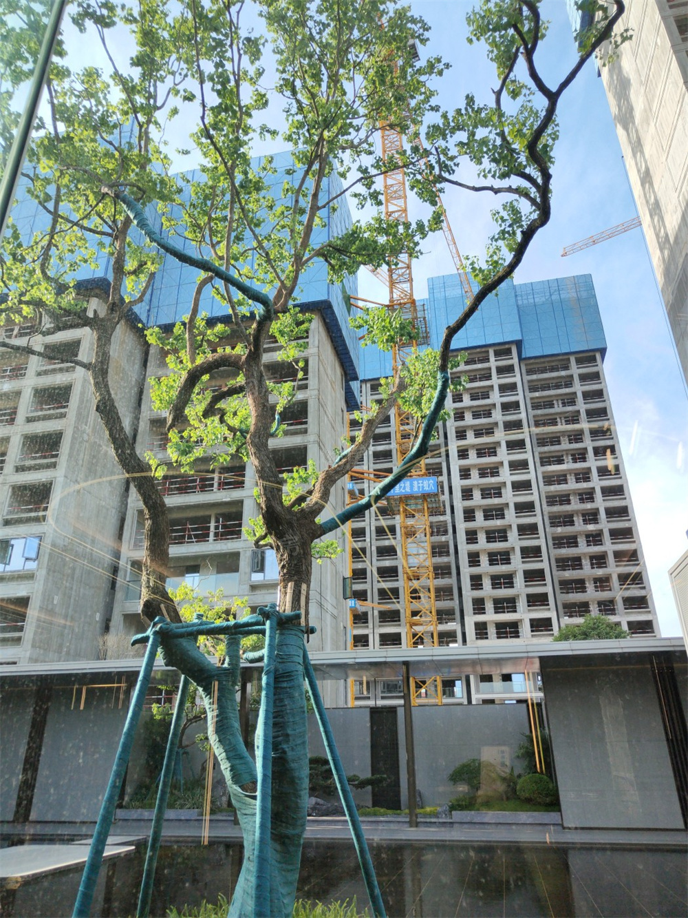绿城桂语云著实景图