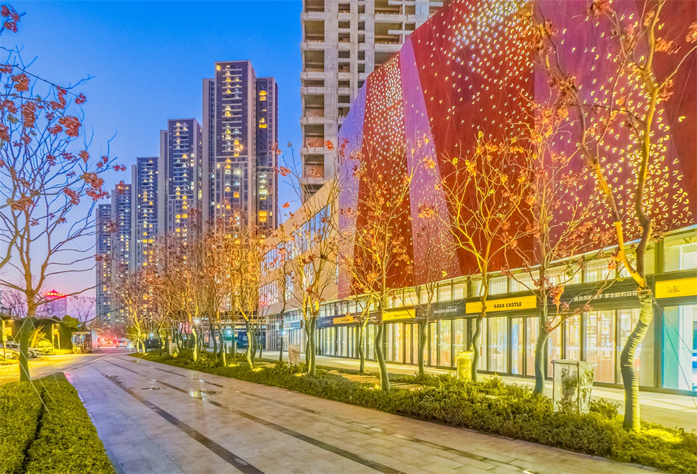 万科森林公园配套图