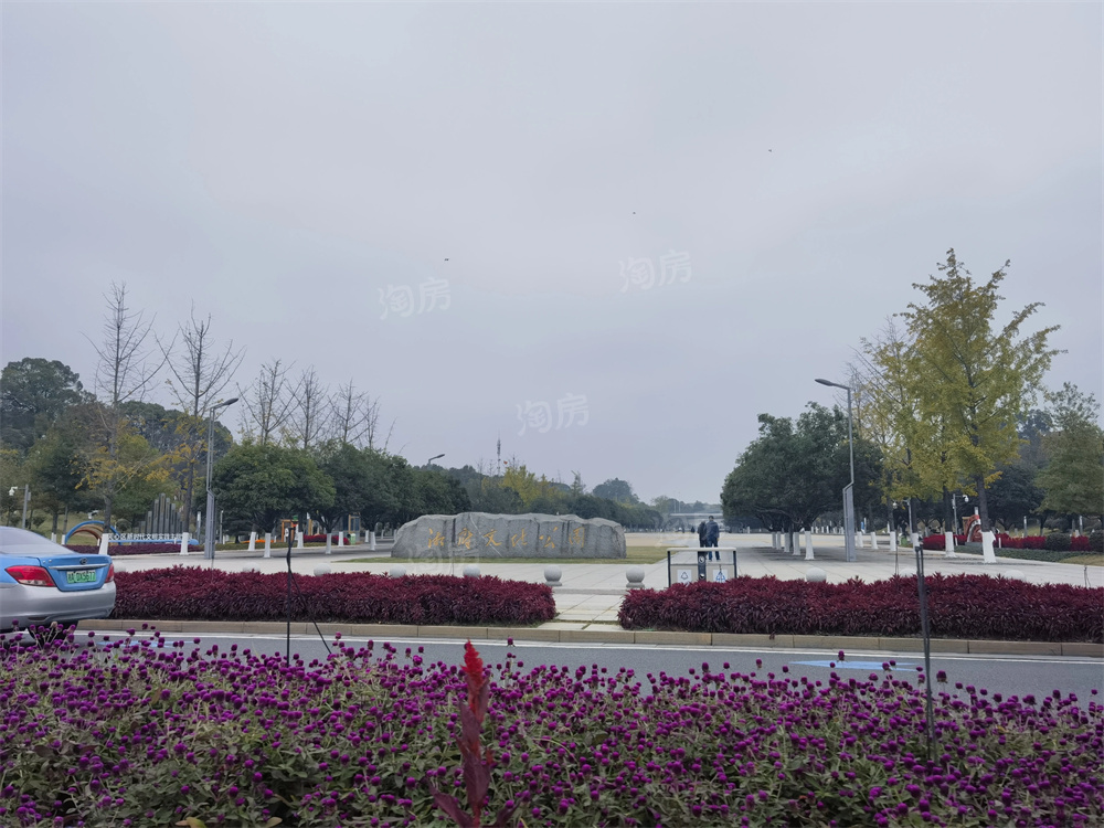 天城上和珺配套图