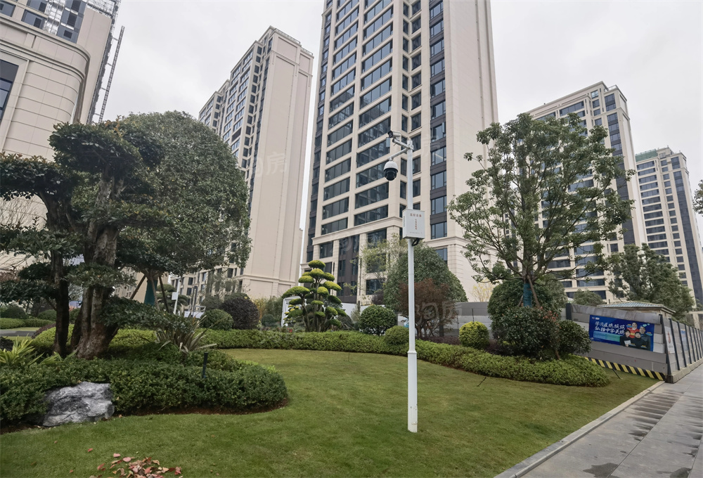 天城上和珺实景图