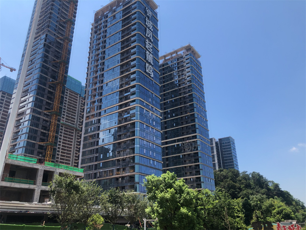 绿城凤起麓鸣实景图