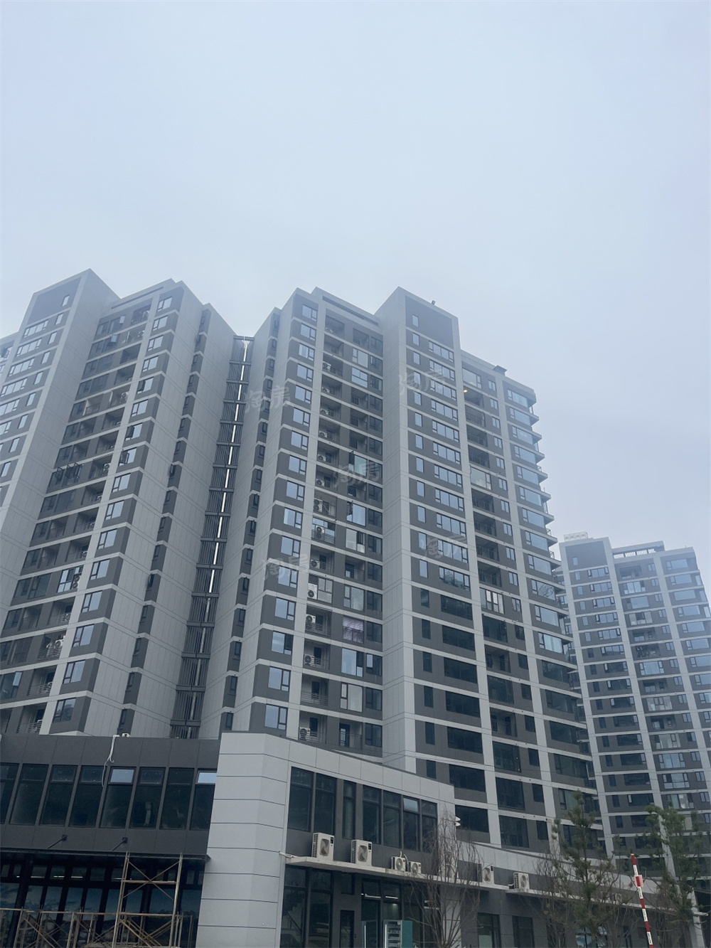 万科森林公园实景图