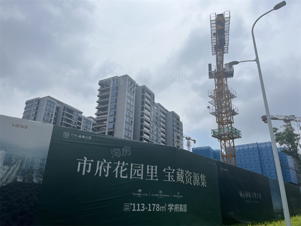 万科森林公园实景图