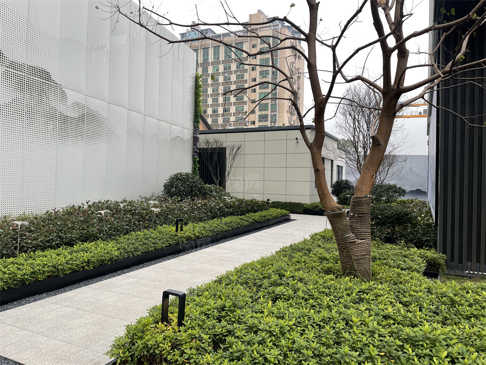 世茂璀璨风华实景图