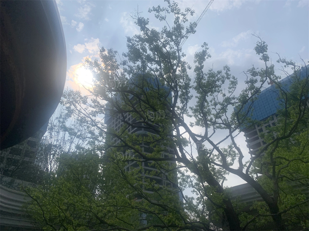 旭辉·铂悦湘江实景图