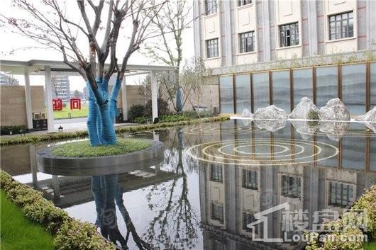 大树·水月轩实景图