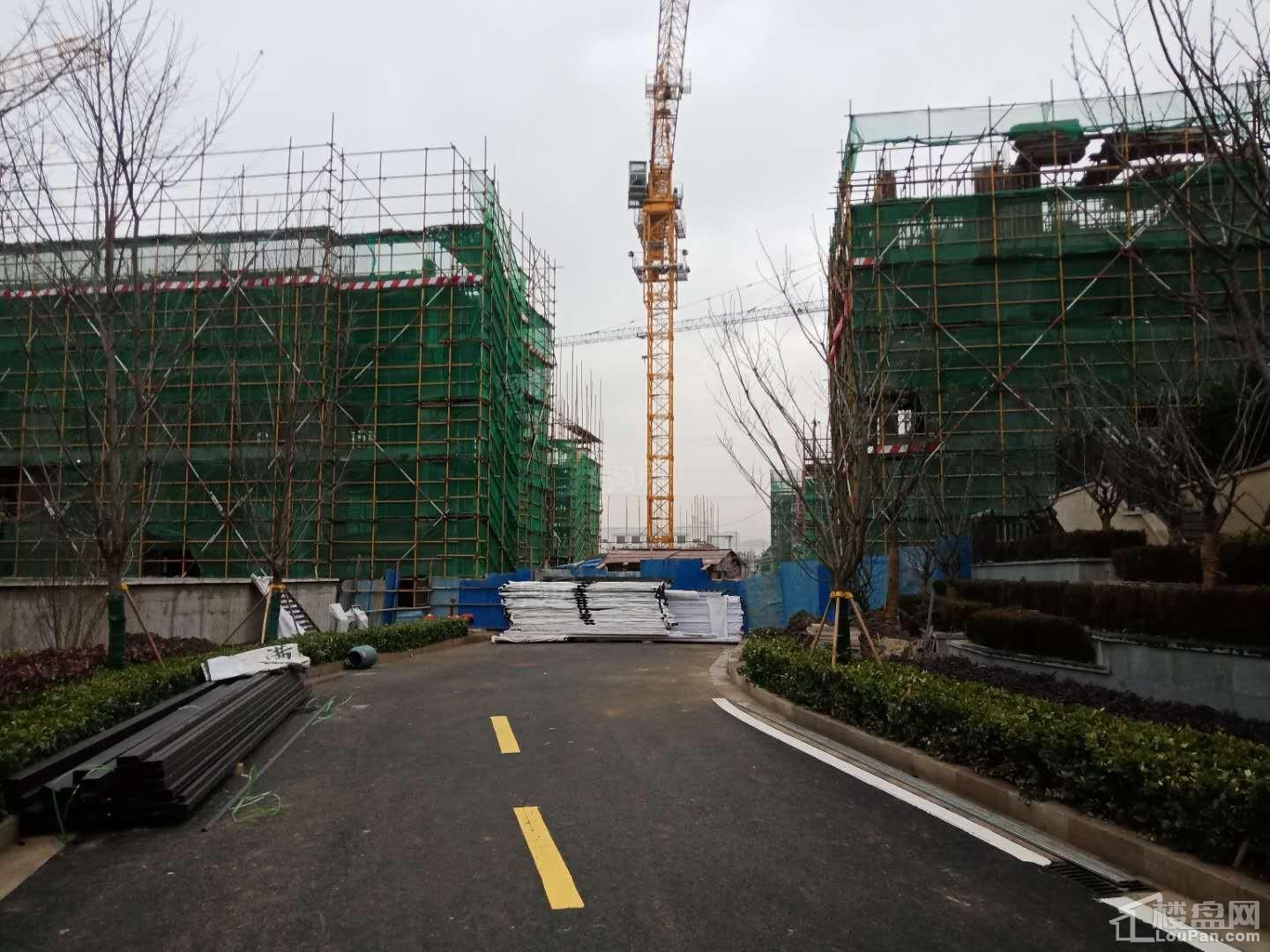 中信泰富锦园实景图