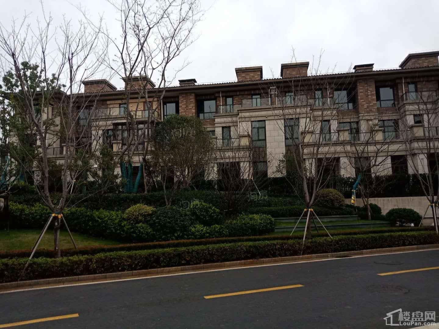 中信泰富锦园实景图