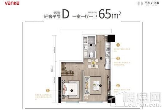 万科V+公寓|魅力之城D户型 1室1厅1卫1厨