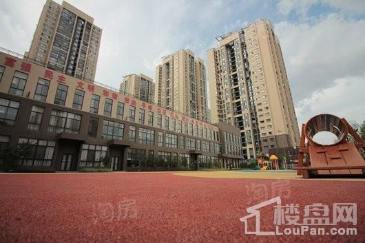 万科V+公寓|魅力之城实景图