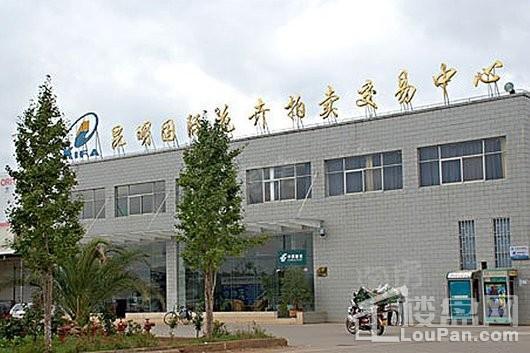 实力蝶锦台配套图