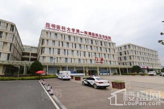 实力蝶锦台配套图