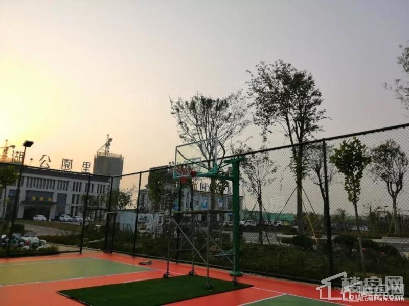 龙湖公园里实景图