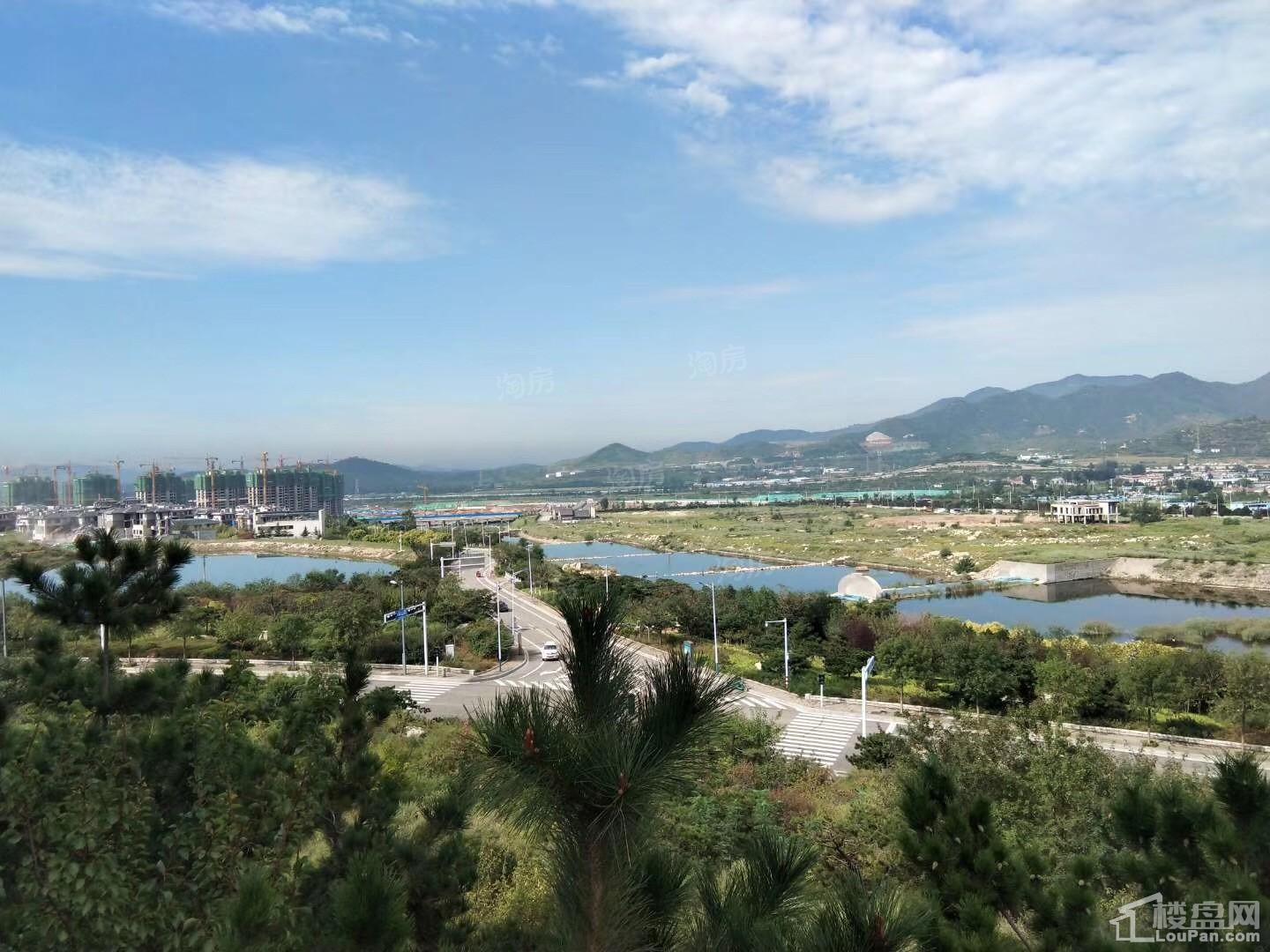 金科桃花源实景图