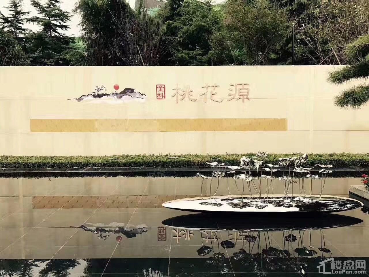 金科桃花源实景图