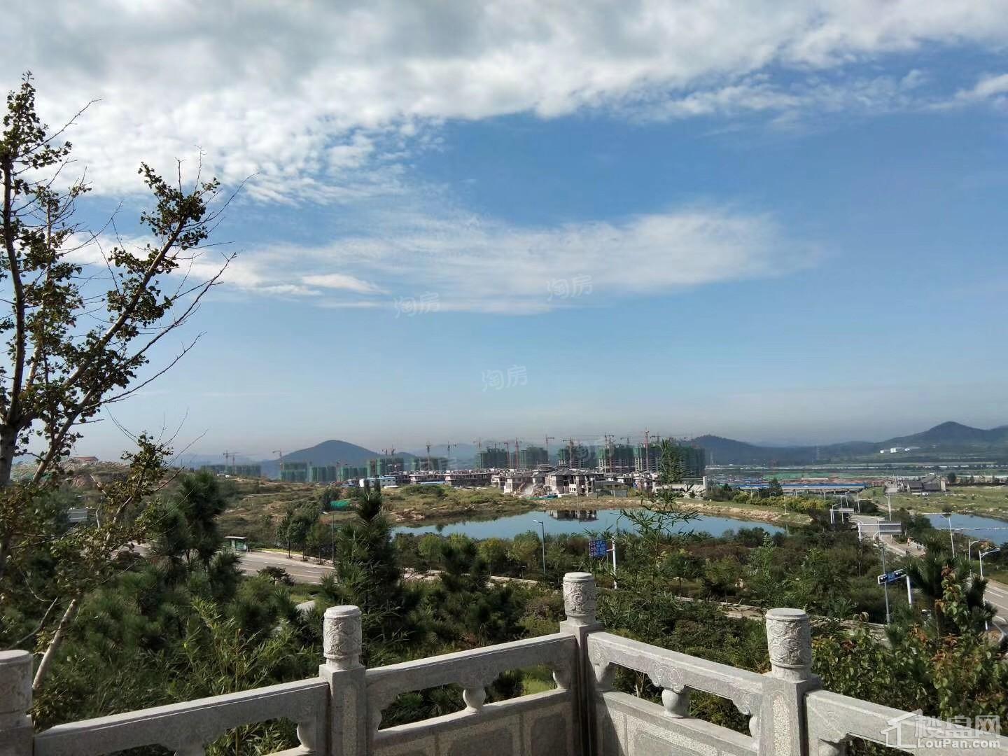 金科桃花源实景图