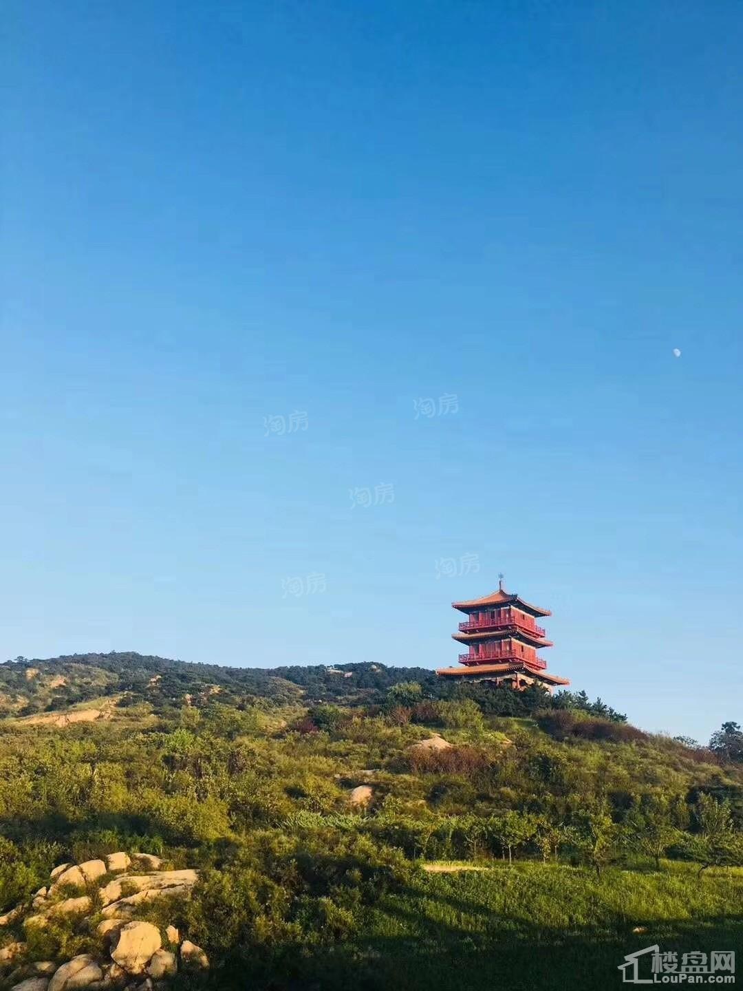 金科桃花源实景图