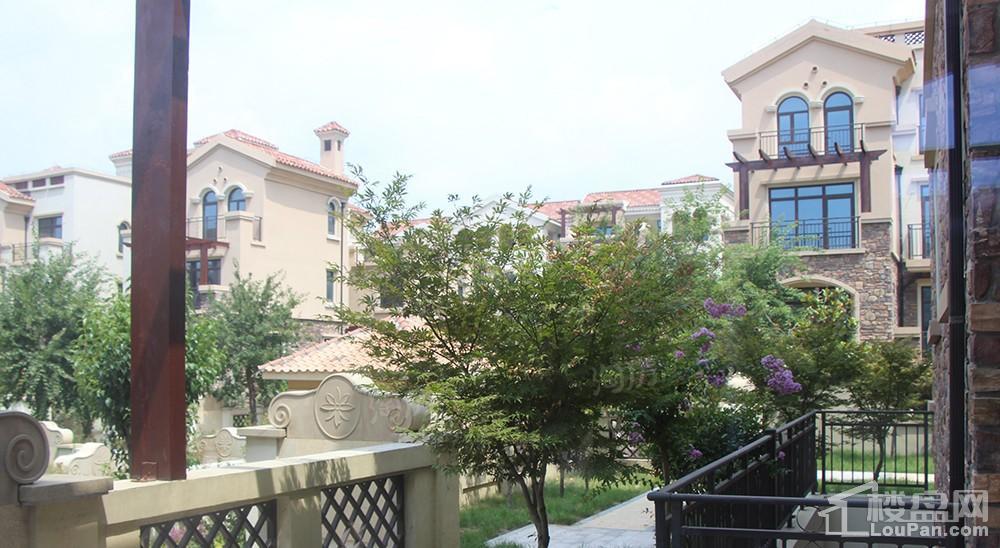 东苑香墅实景图