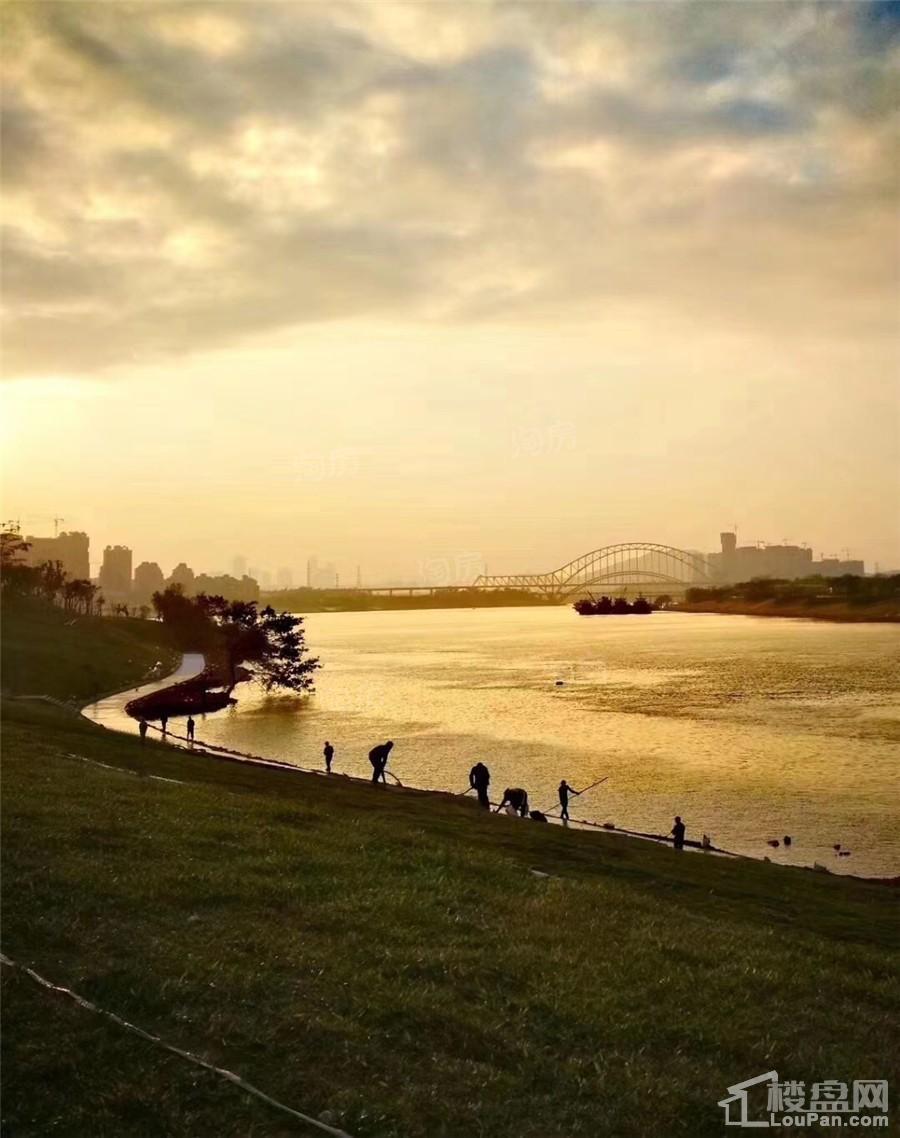 南宁阳光城丽景湾配套图