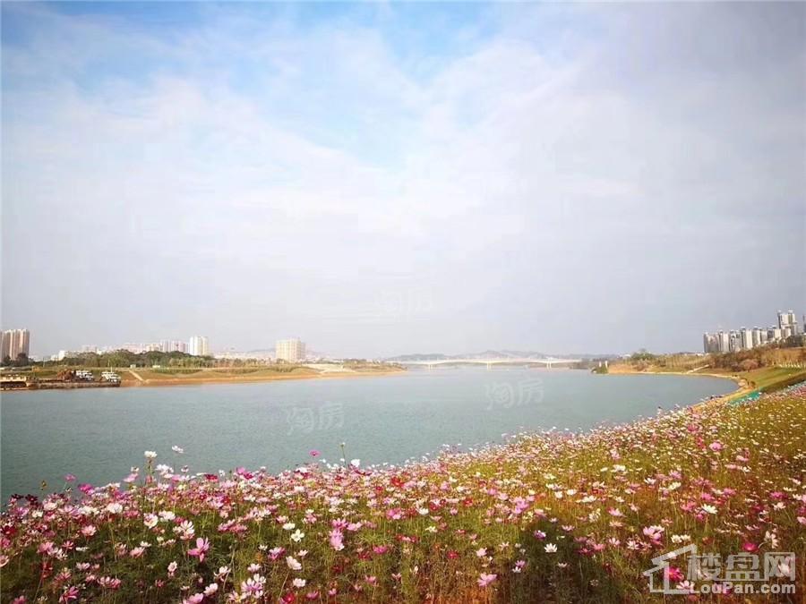 南宁阳光城丽景湾配套图