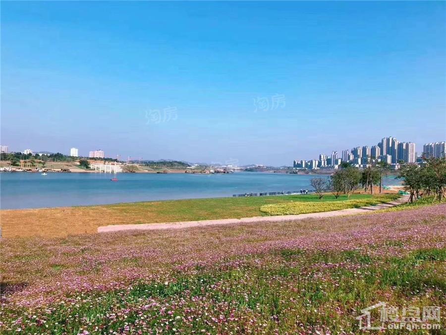 南宁阳光城丽景湾配套图