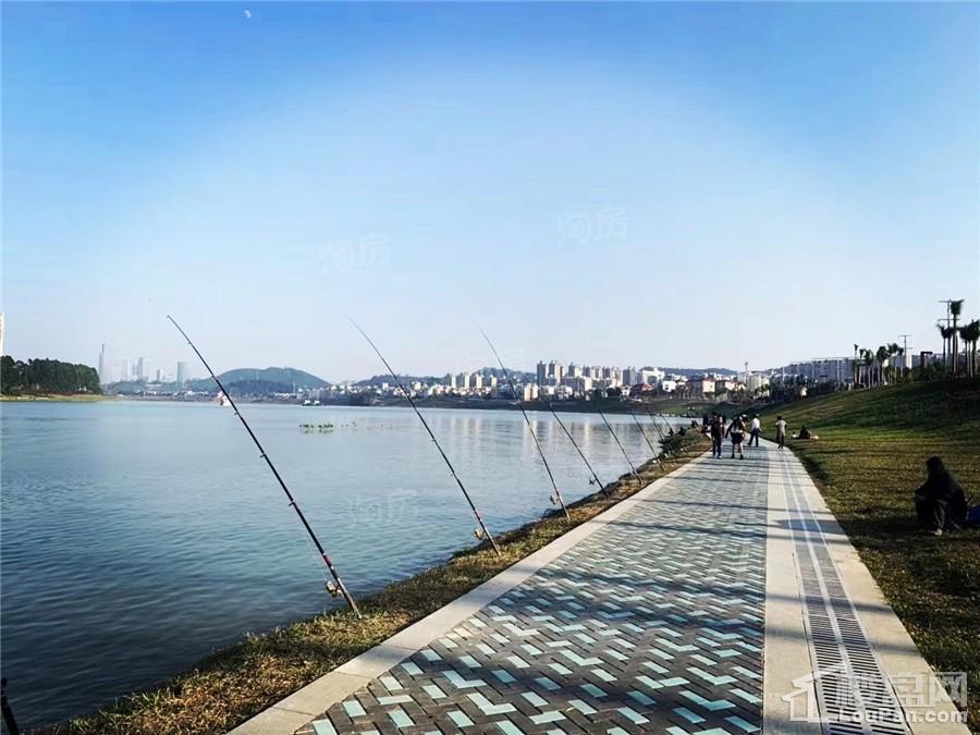 南宁阳光城丽景湾配套图
