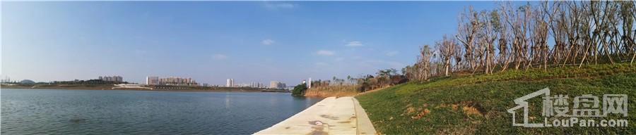 南宁阳光城丽景湾配套图