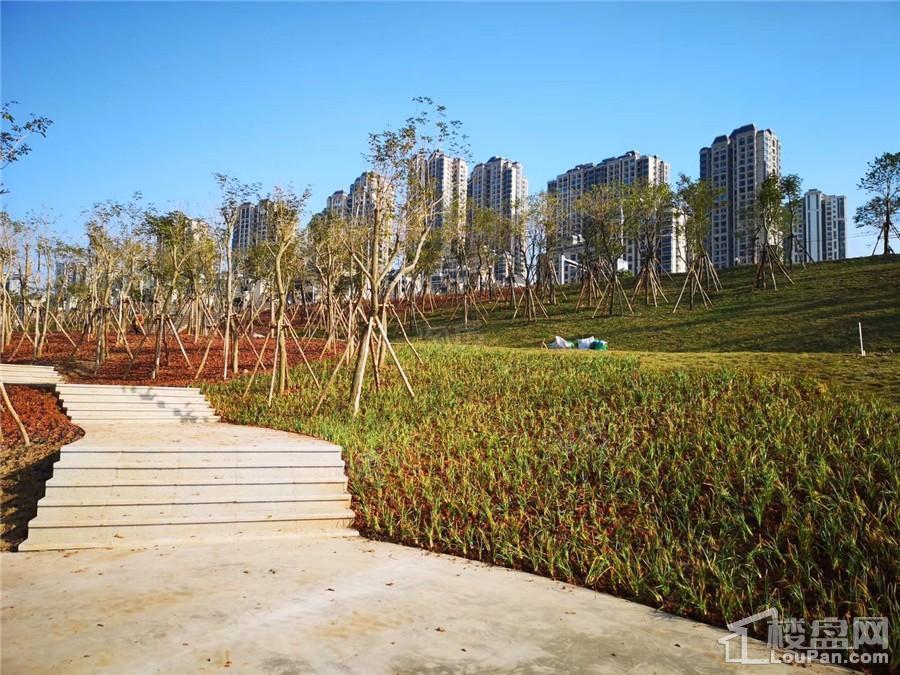 南宁阳光城丽景湾配套图